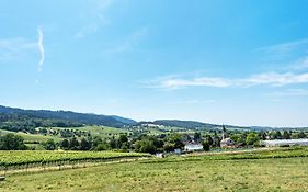 Ferienwohnung im Lenzengarten