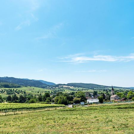 Ferienwohnung im Lenzengarten Sulzburg Exterior foto