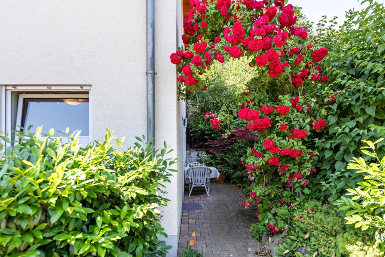 Ferienwohnung im Lenzengarten Sulzburg Exterior foto