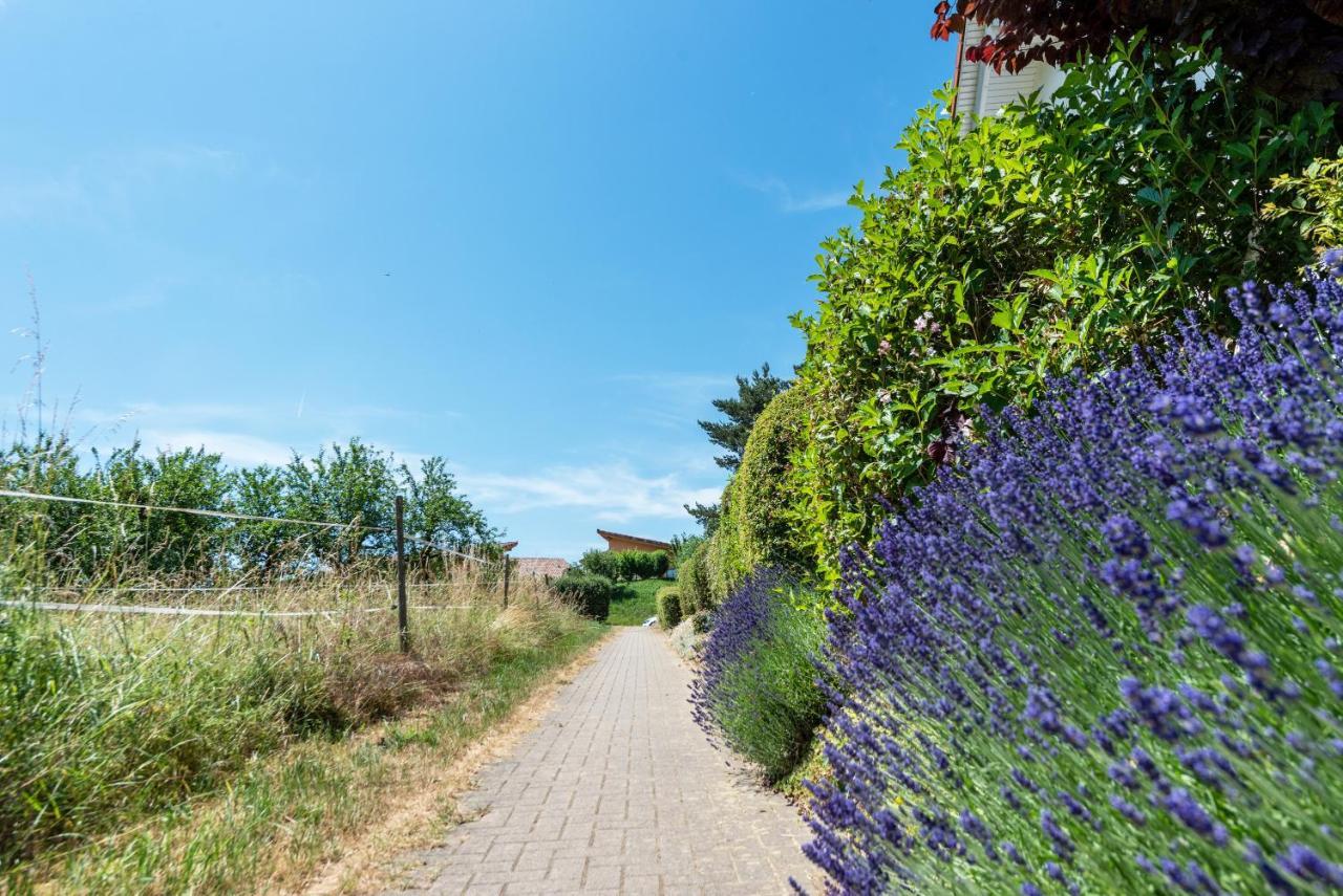 Ferienwohnung im Lenzengarten Sulzburg Exterior foto