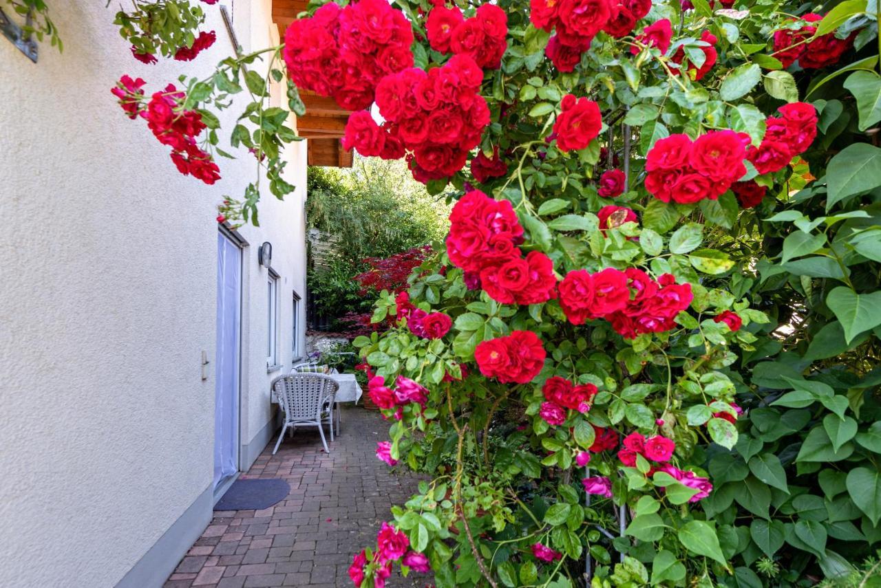 Ferienwohnung im Lenzengarten Sulzburg Exterior foto