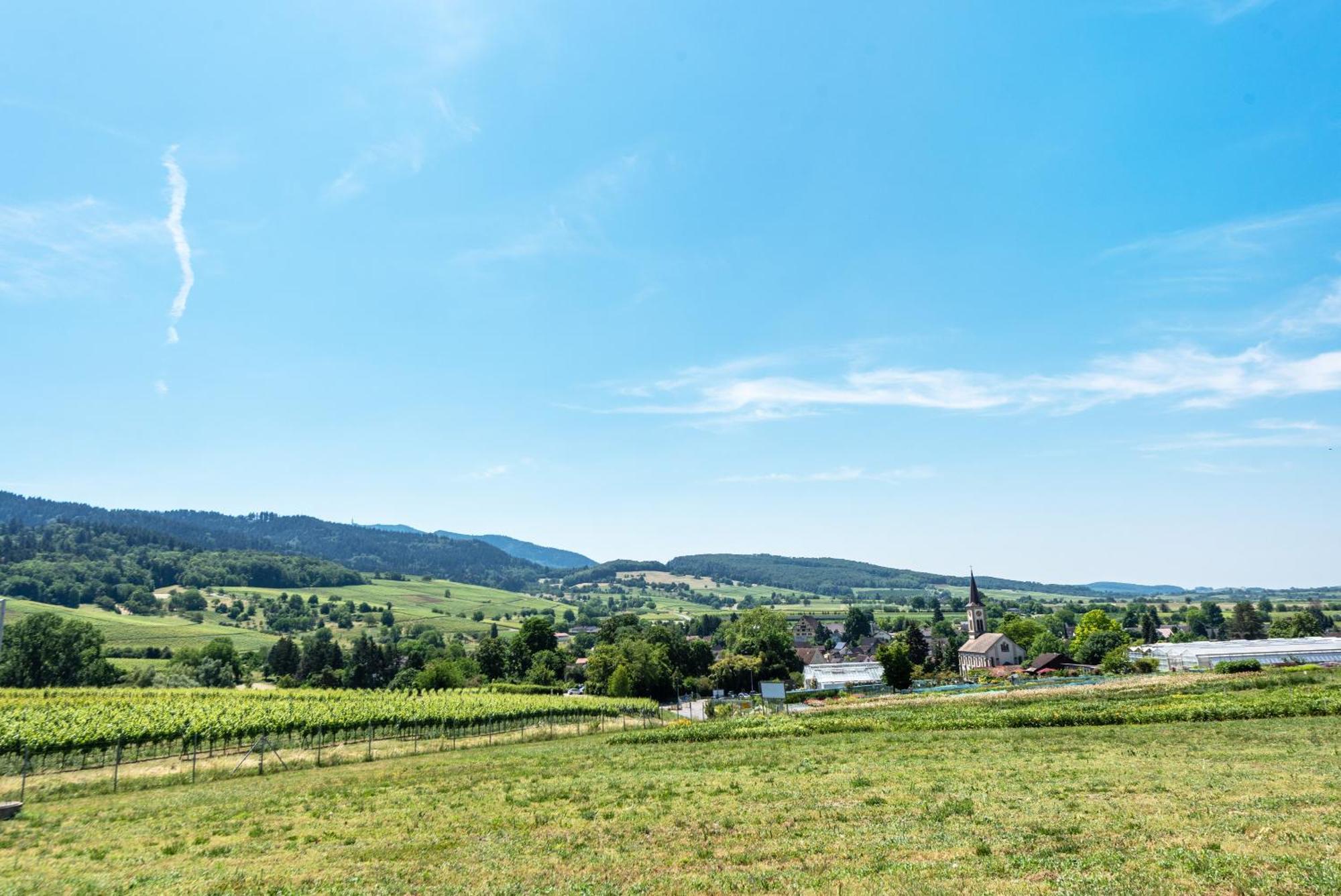 Ferienwohnung im Lenzengarten Sulzburg Exterior foto